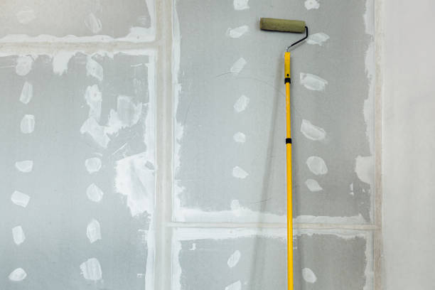 Best Asbestos and Lead Testing During Mold Inspection  in Pupukea, HI