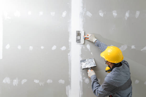Best HVAC Mold Inspection and Cleaning  in Pupukea, HI