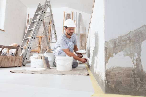 Best Mold Remediation for Healthcare Facilities  in Pupukea, HI
