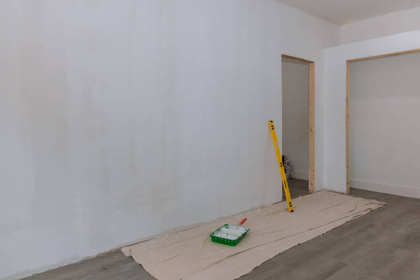 Best Basement Mold Removal  in Pupukea, HI