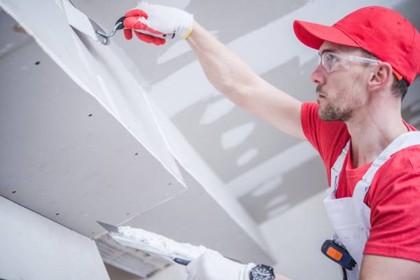 Best Black Mold Removal  in Pupukea, HI