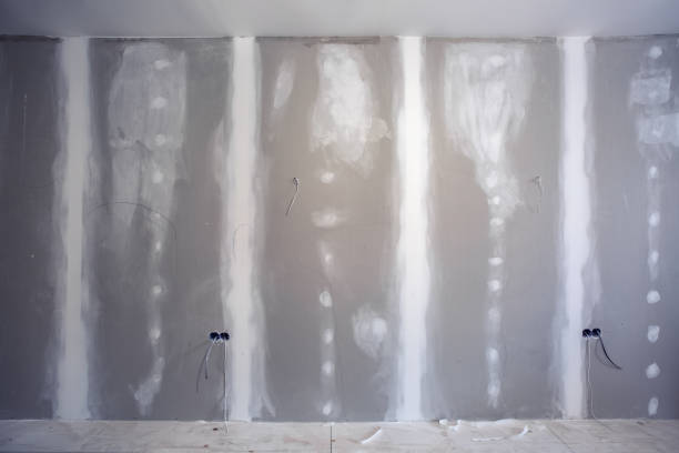 Best Industrial Mold Remediation  in Pupukea, HI